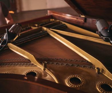 Pianoteq Microphones – The AEA R84 Ribbon Microphone